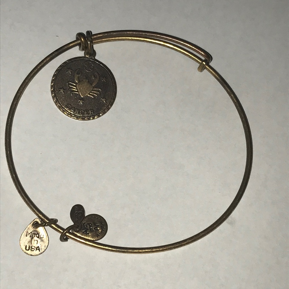 Women’s Alex & Ani Cancer Charm Bracelet